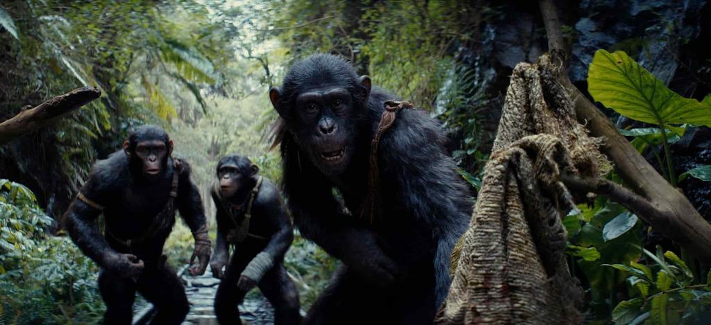 A scene from Kingdom of the Planet of the Apes